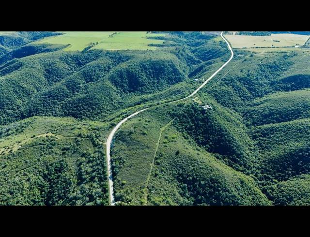 FARM FOR SALE IN WITTEDRIFT AH